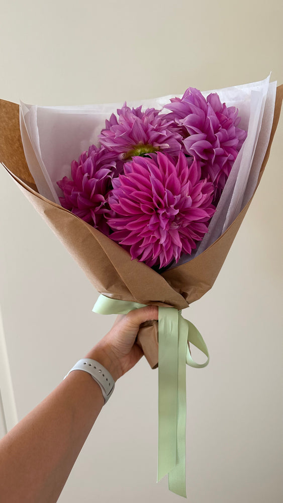 Dahlia Tubers