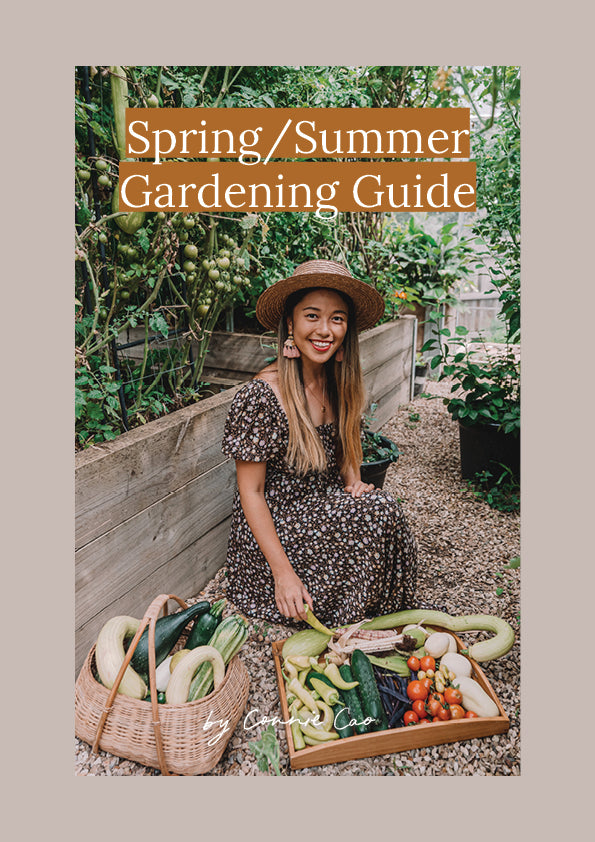 Spring/Summer Gardening Guide – Garden with Connie